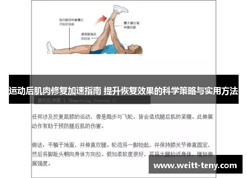 运动后肌肉修复加速指南 提升恢复效果的科学策略与实用方法